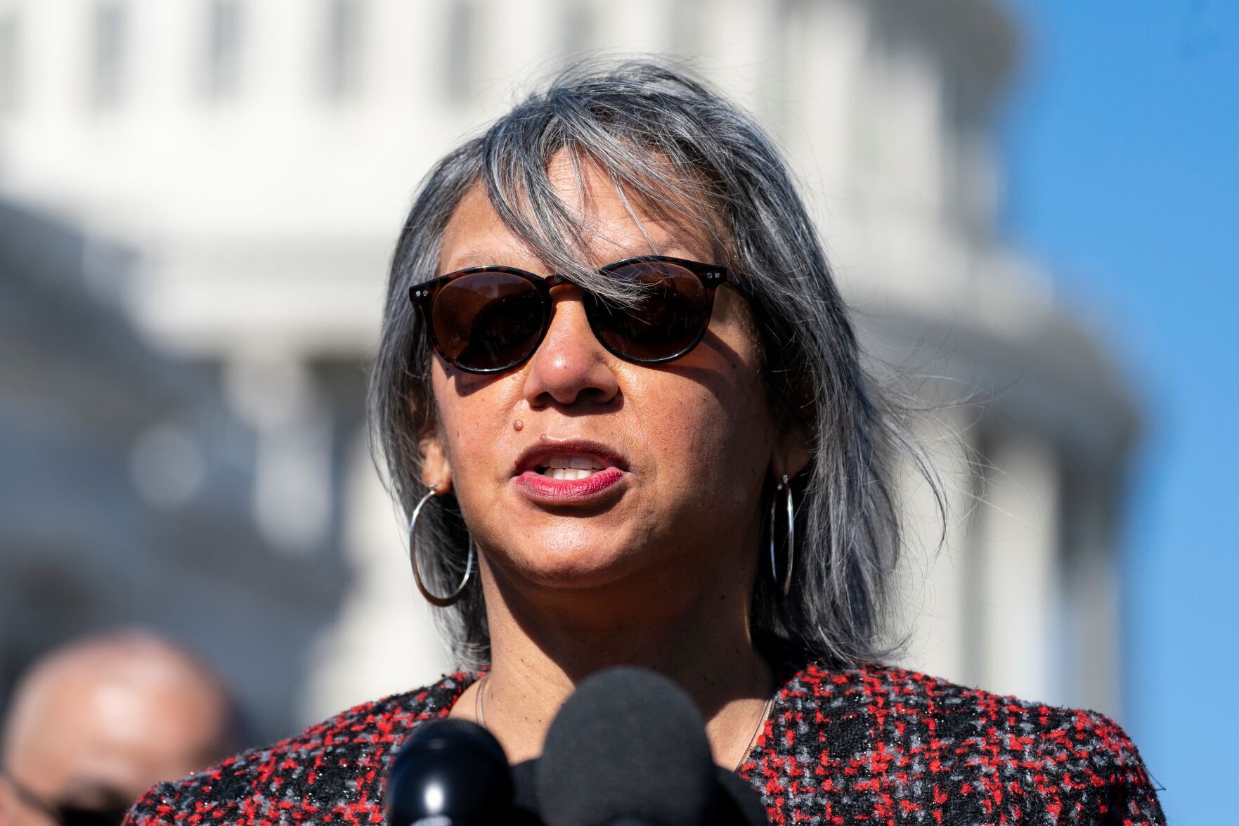 House Democrats Crime